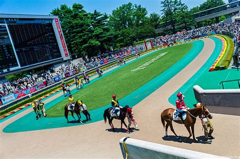 japan horse racing live today youtube|News & Results .